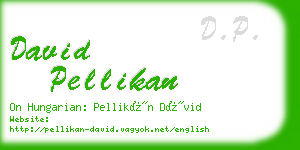 david pellikan business card